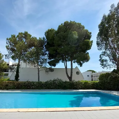 Joli Piscine Cat La Grande-Motte